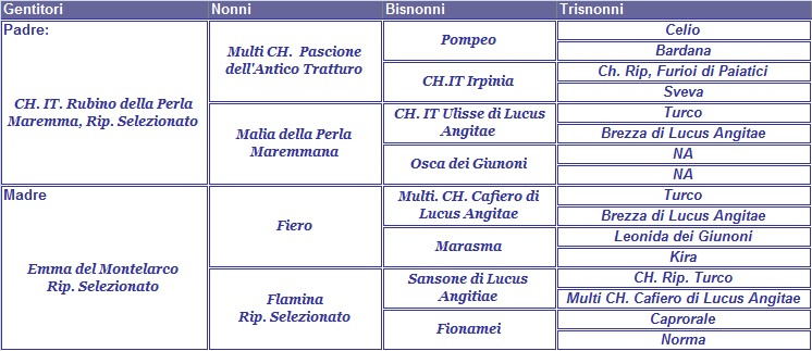 clicca per nascondere il pedigree